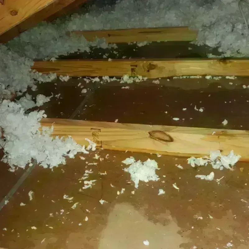 Attic Water Damage in Gunter, TX