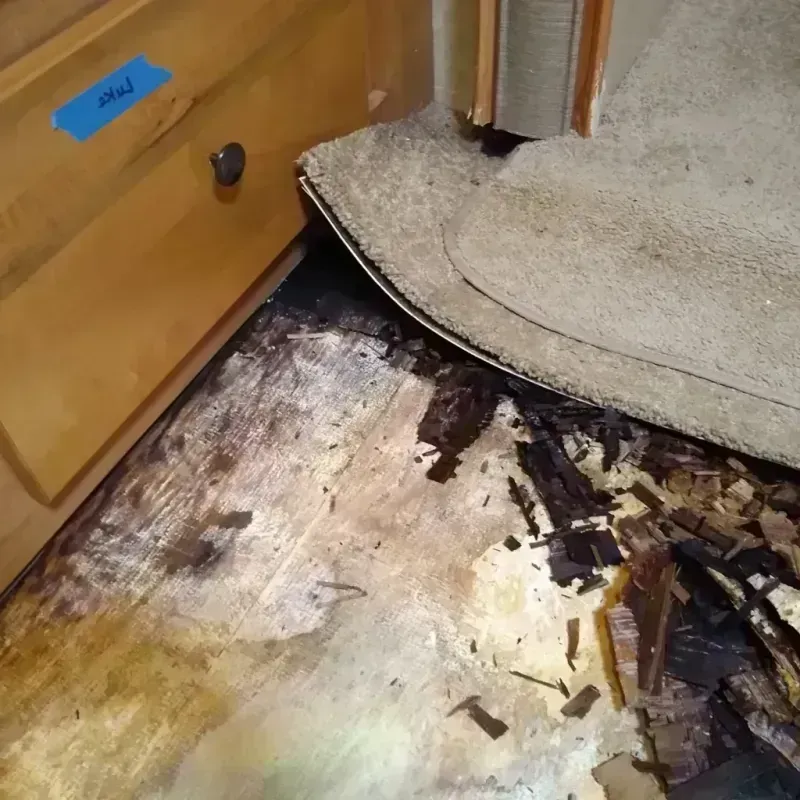 Best Wood Floor Water Damage Service in Gunter, TX